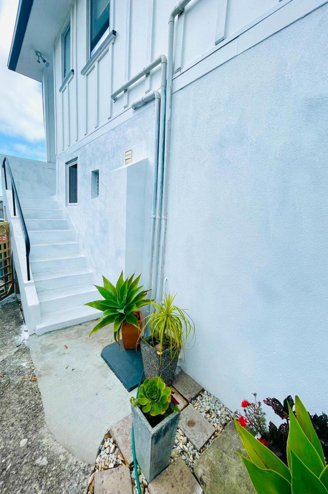 Giggly Nest Apartamento New Plymouth Exterior foto